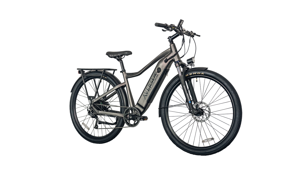 e-Bike AVERSUS PIAZZA - Matt-Titangrau